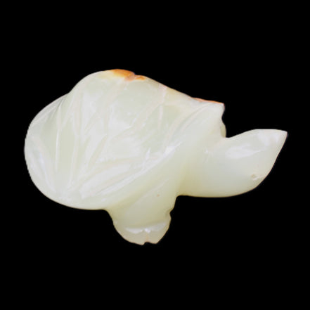 Afghan Jade Turtle hand-carved 85*60*37mm 183g in sunlight - Rocks and Things Store