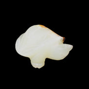 Afghan Jade Turtle hand-carved 85*60*37mm 183g in sunlight - Rocks and Things Store