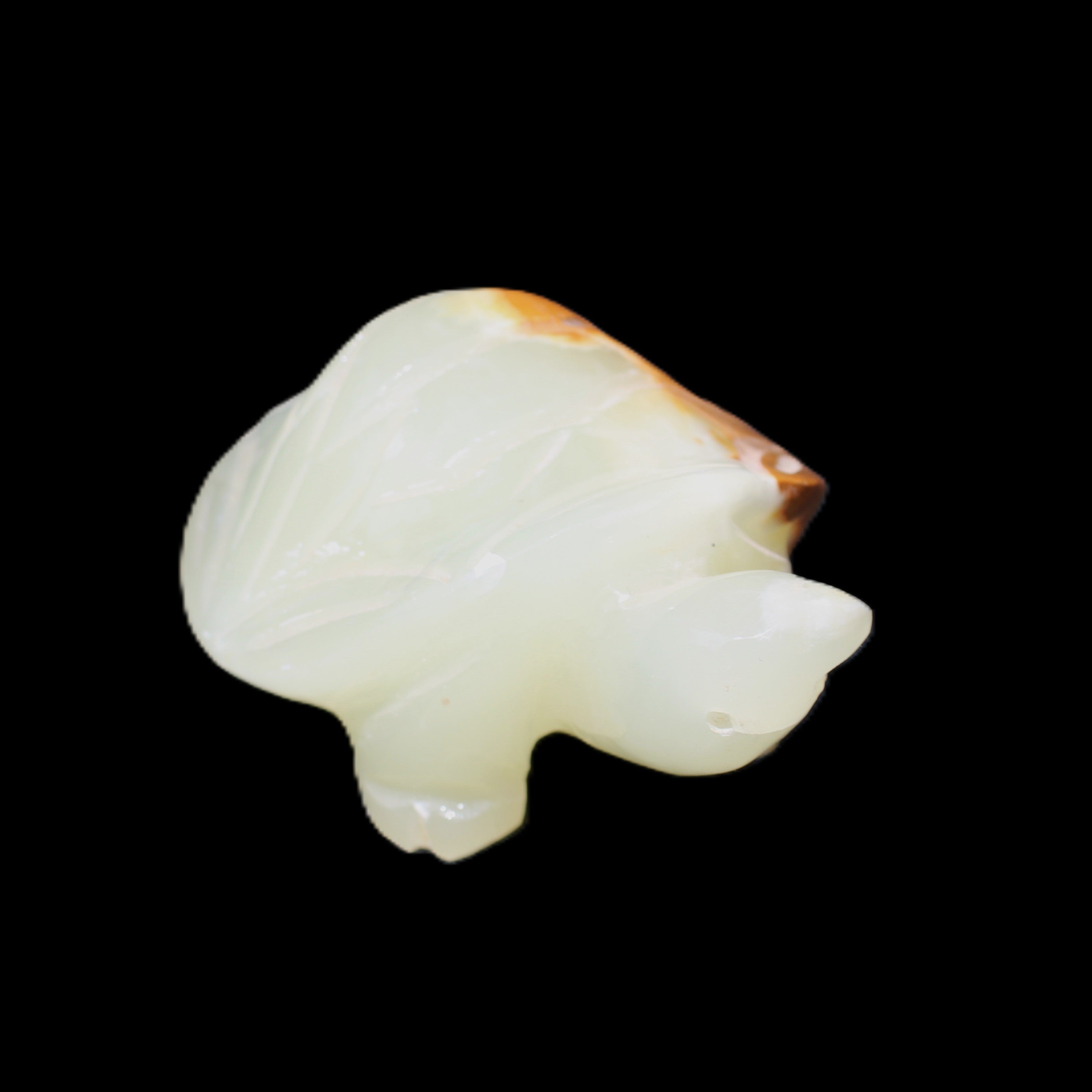 Afghan Jade Turtle hand-carved 85*60*37mm 183g in sunlight - Rocks and Things Store