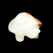 Afghan Jade Turtle hand-carved 85*60*37mm 183g in sunlight - Rocks and Things Store