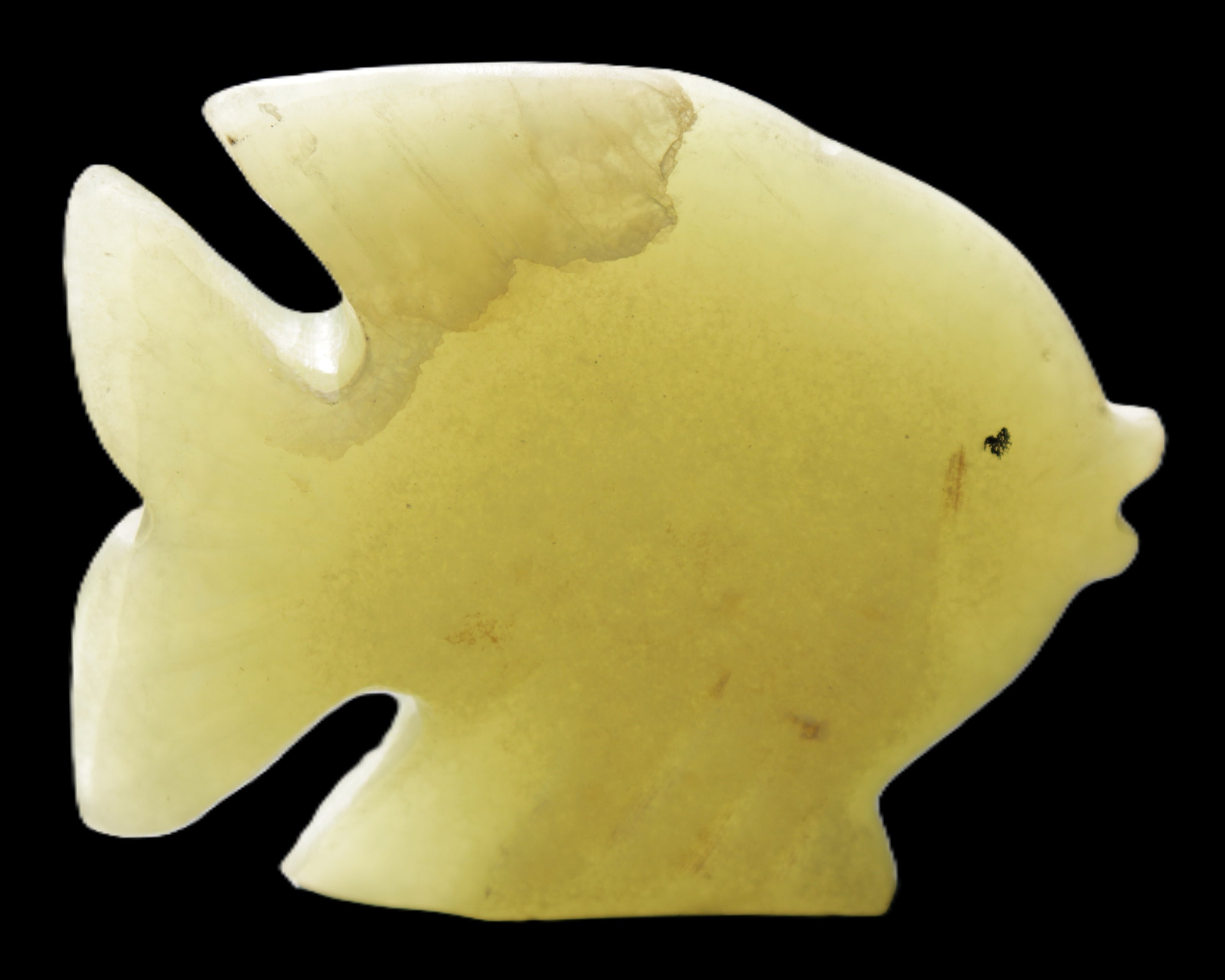 Afghan Jade fish hand-carved 82*66*19mm 173g in sunlight - Rocks and Things Store