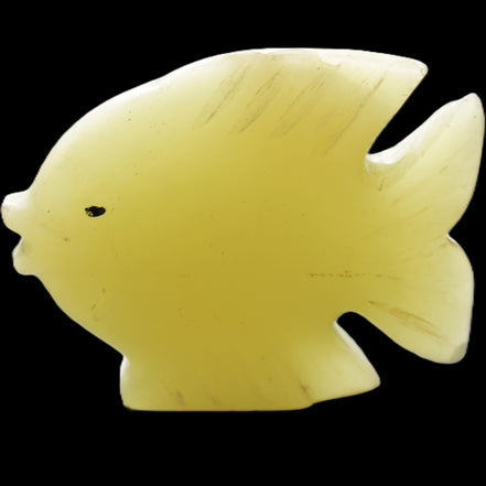 Afghan Jade fish hand-carved 82*66*19mm 173g in sunlight - Rocks and Things Store