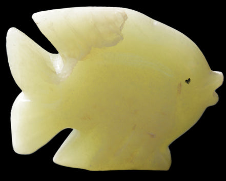 Afghan Jade fish hand-carved 82*66*19mm 173g in sunlight - Rocks and Things Store