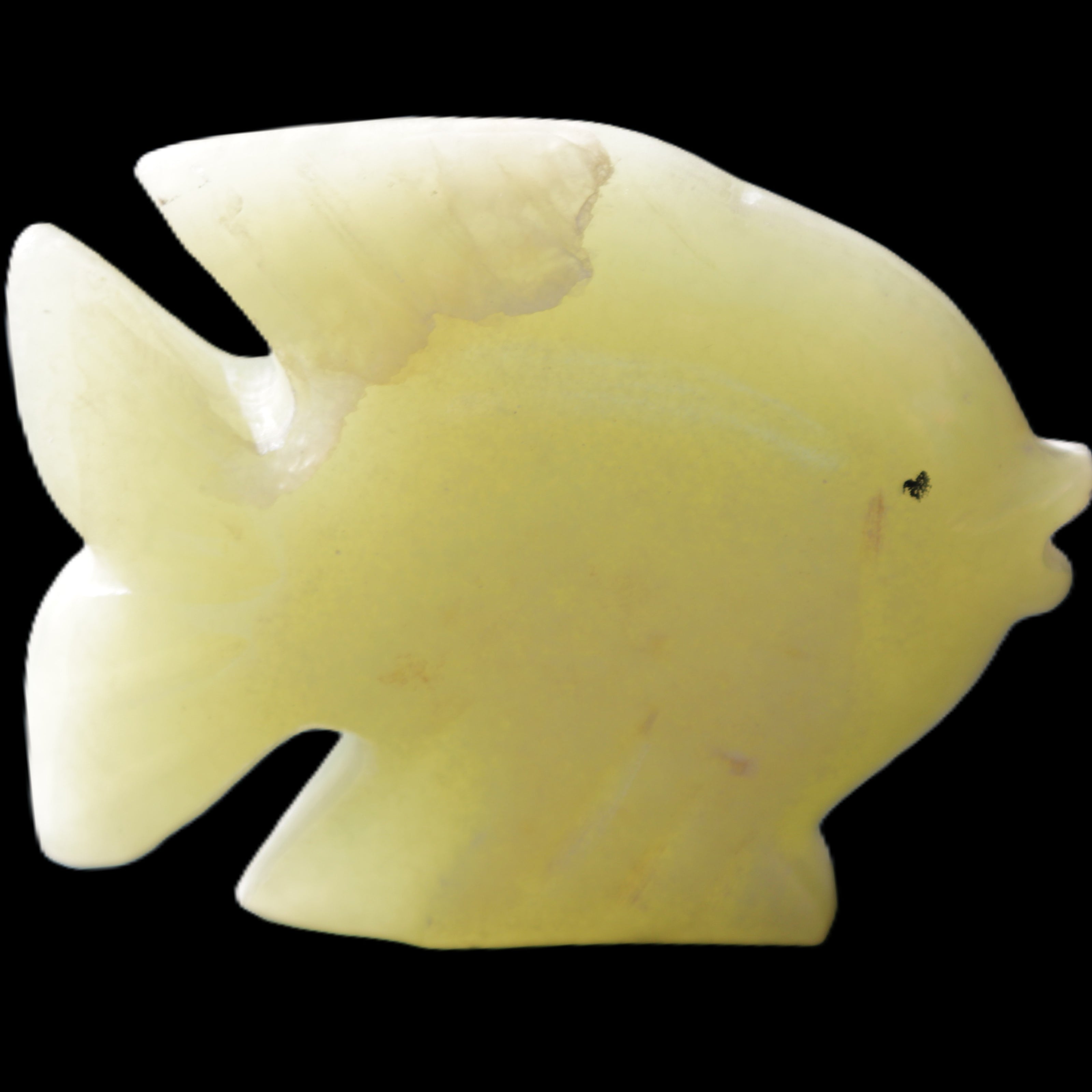 Afghan Jade fish hand-carved 82*66*19mm 173g in sunlight - Rocks and Things Store