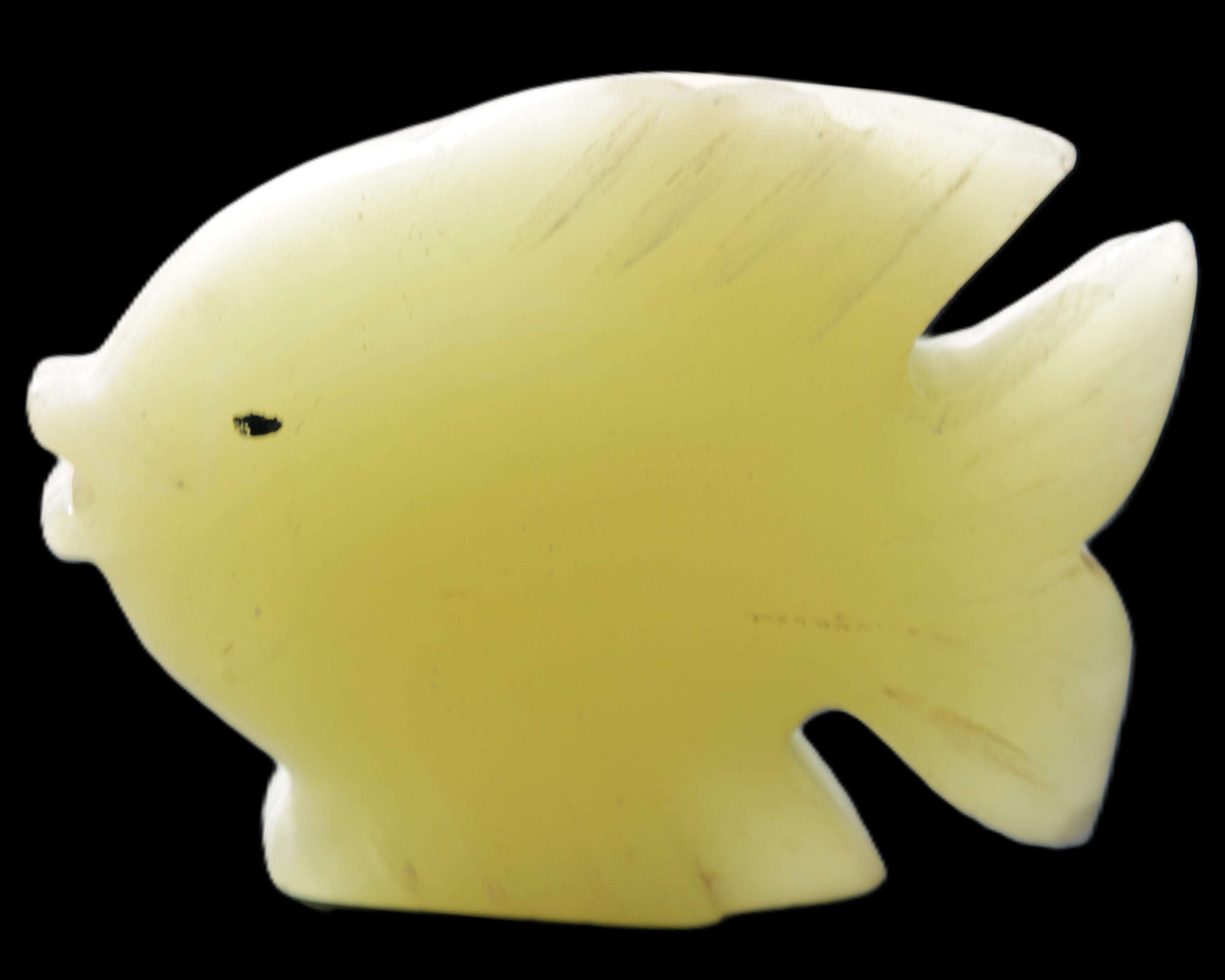 Afghan Jade fish hand-carved 82*66*19mm 173g in sunlight - Rocks and Things Store