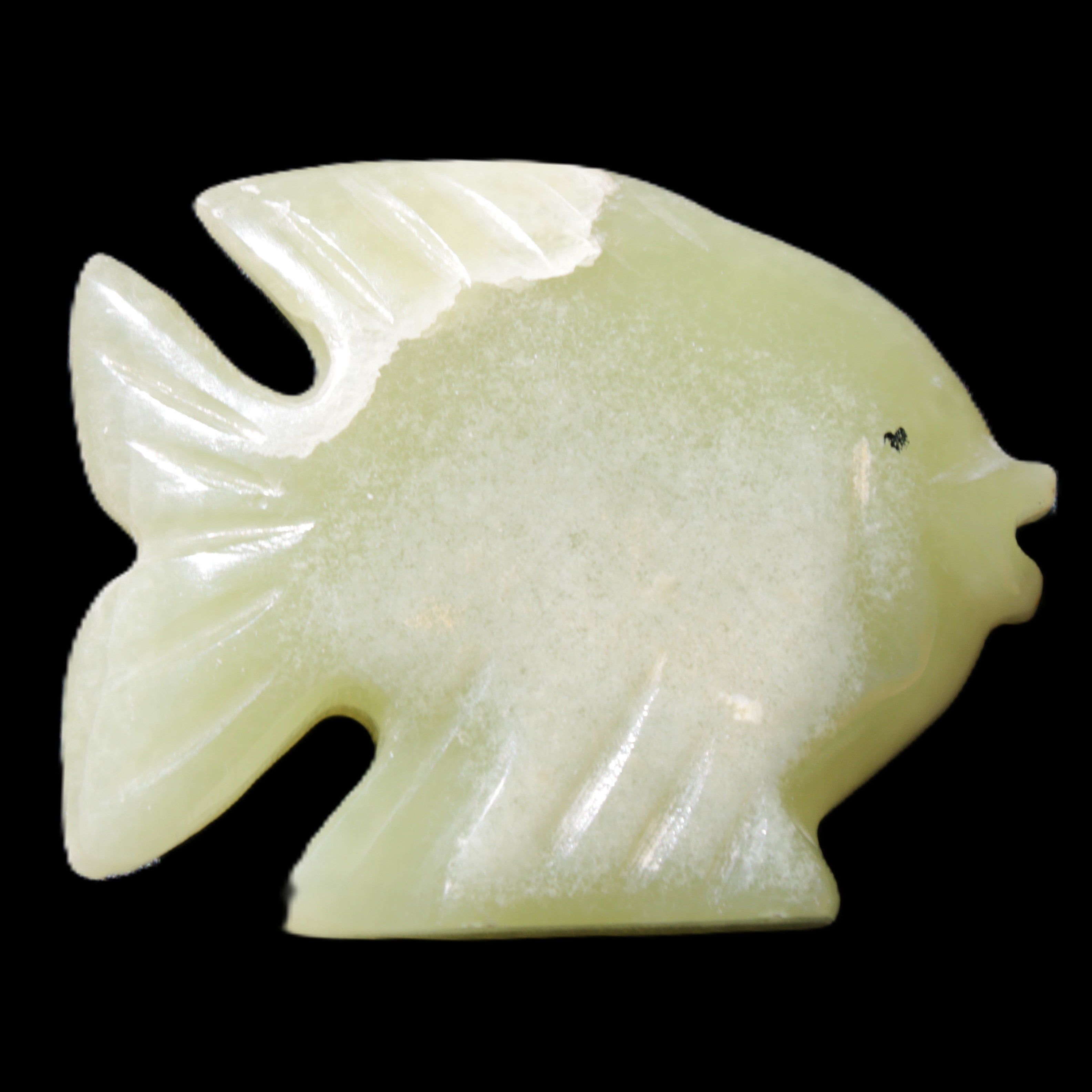 Afghan Jade fish hand-carved 82*66*19mm 173g in sunlight - Rocks and Things Store
