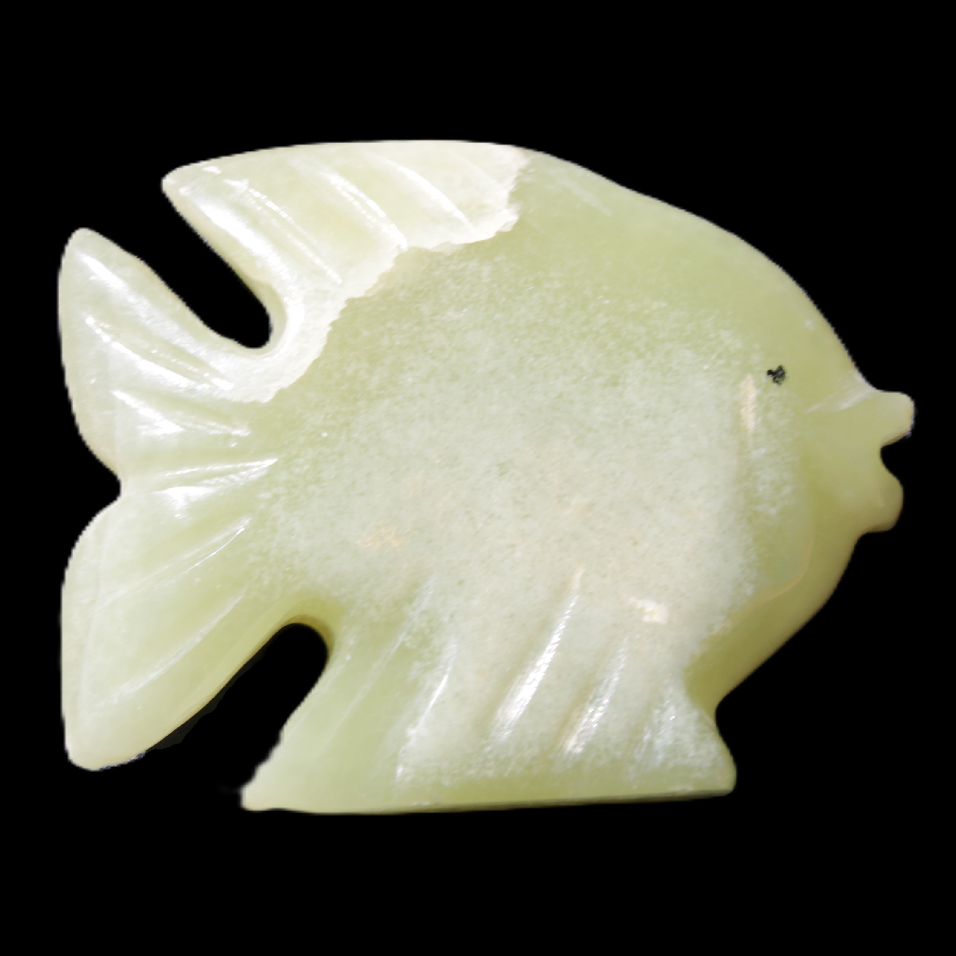 Afghan Jade fish hand-carved 82*66*19mm 173g in sunlight - Rocks and Things Store