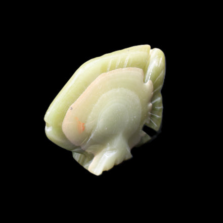 Afghan Jade fish hand-carved 75*59*25mm 166g in sunlight - Rocks and Things Store