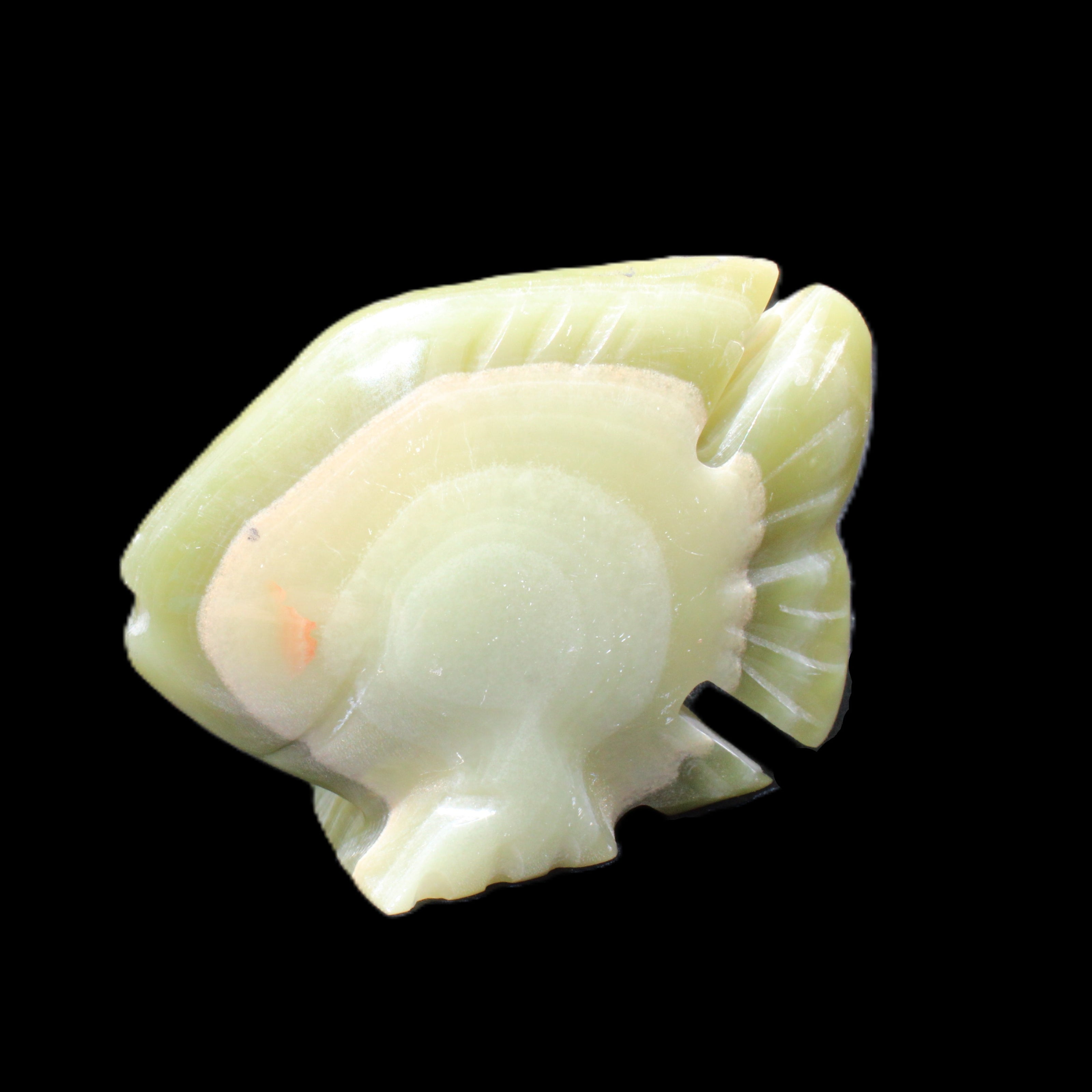 Afghan Jade fish hand-carved 75*59*25mm 166g in sunlight - Rocks and Things Store