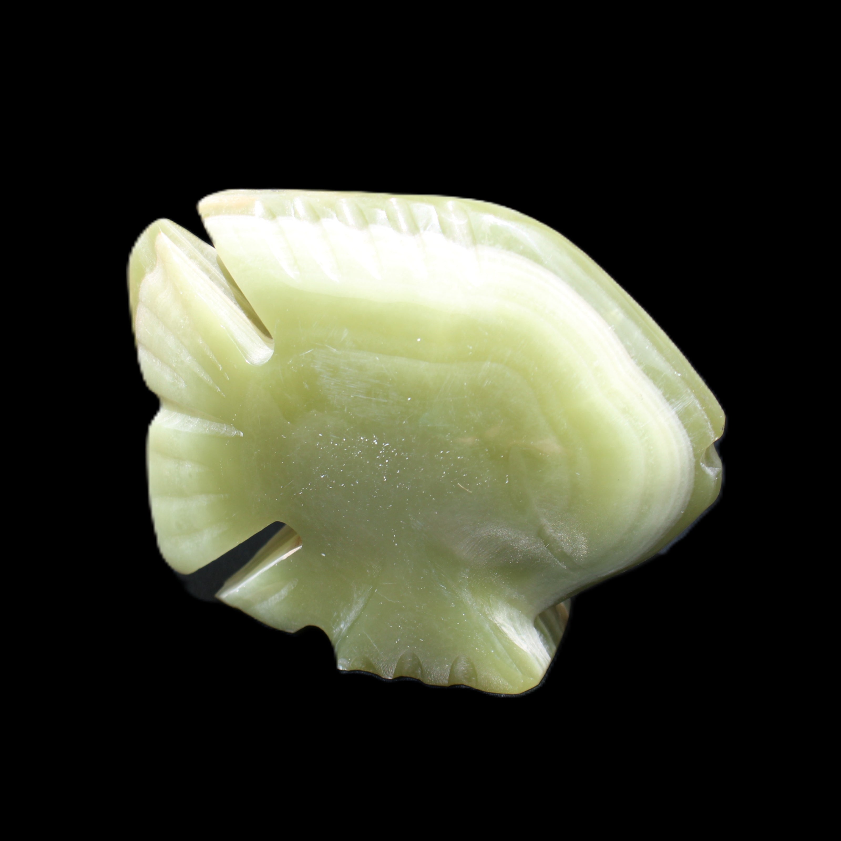 Afghan Jade fish hand-carved 75*59*25mm 166g in sunlight - Rocks and Things Store