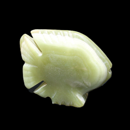 Afghan Jade fish hand-carved 75*59*25mm 166g in sunlight - Rocks and Things Store