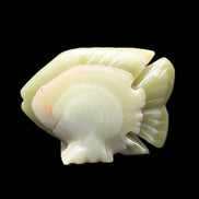 Afghan Jade fish hand-carved 75*59*25mm 166g in sunlight - Rocks and Things Store