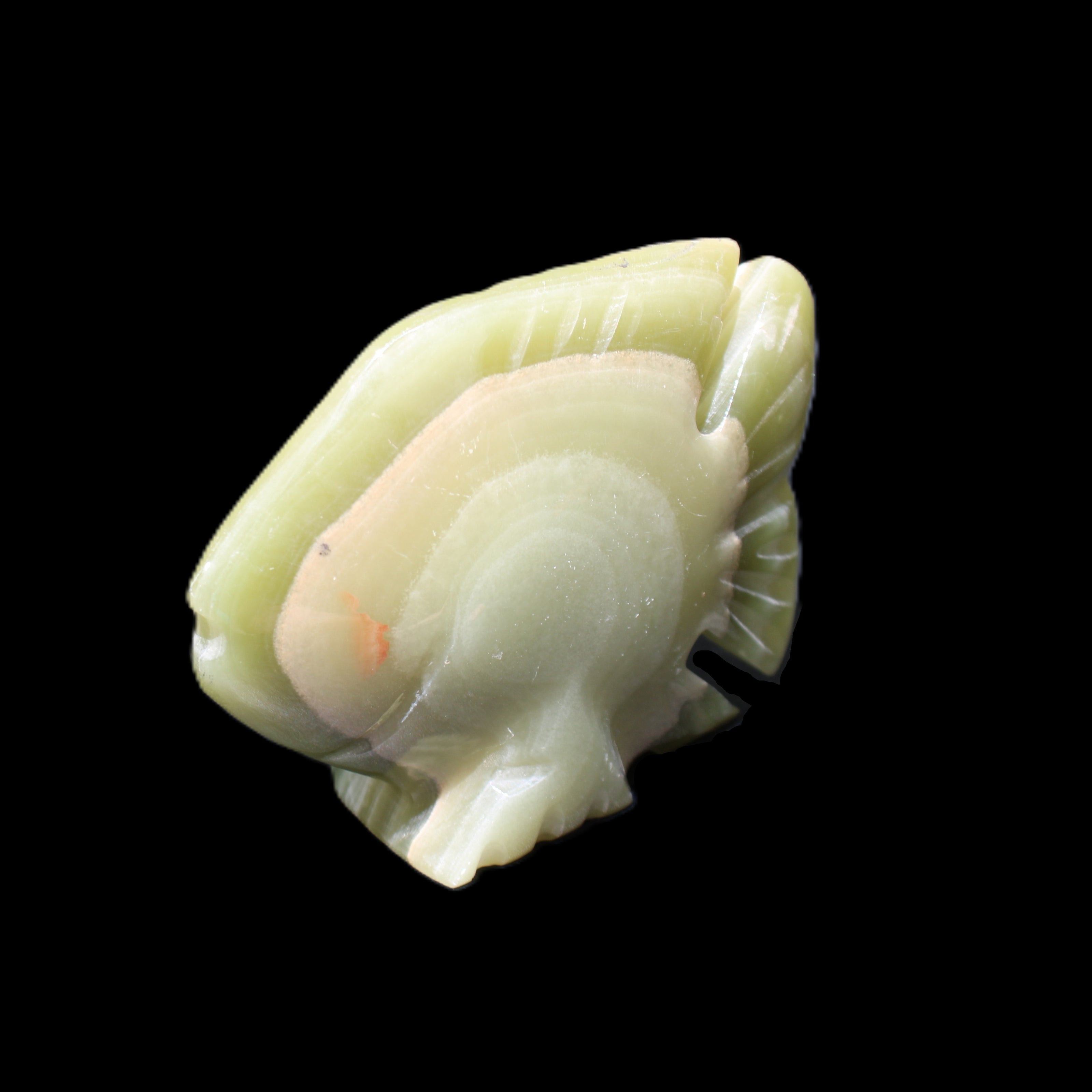 Afghan Jade fish hand-carved 75*59*25mm 166g in sunlight - Rocks and Things Store