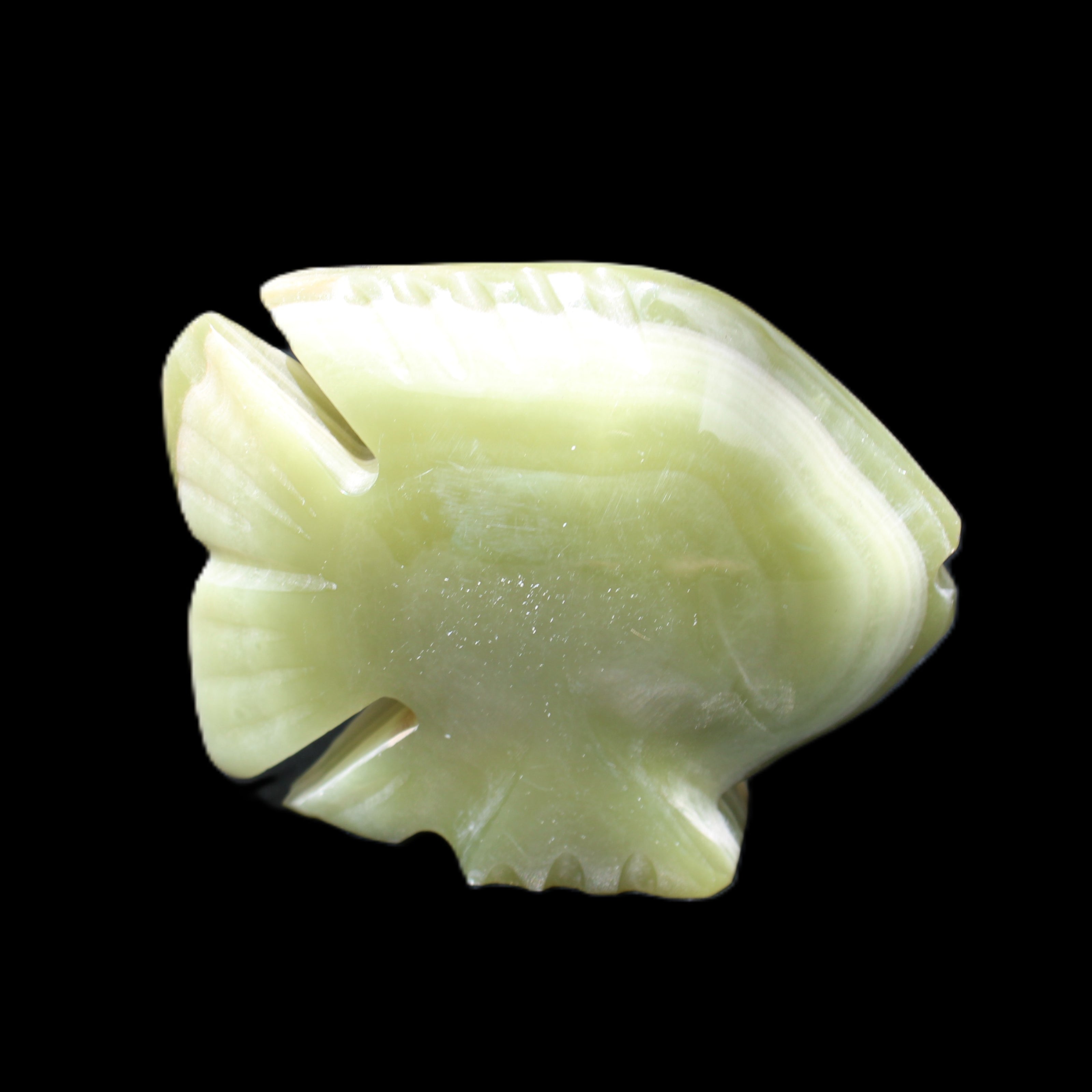 Afghan Jade fish hand-carved 75*59*25mm 166g in sunlight - Rocks and Things Store