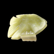 Afghan Jade fish hand-carved 75*59*25mm 166g in sunlight - Rocks and Things Store