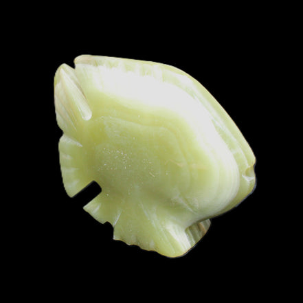 Afghan Jade fish hand-carved 75*59*25mm 166g in sunlight - Rocks and Things Store