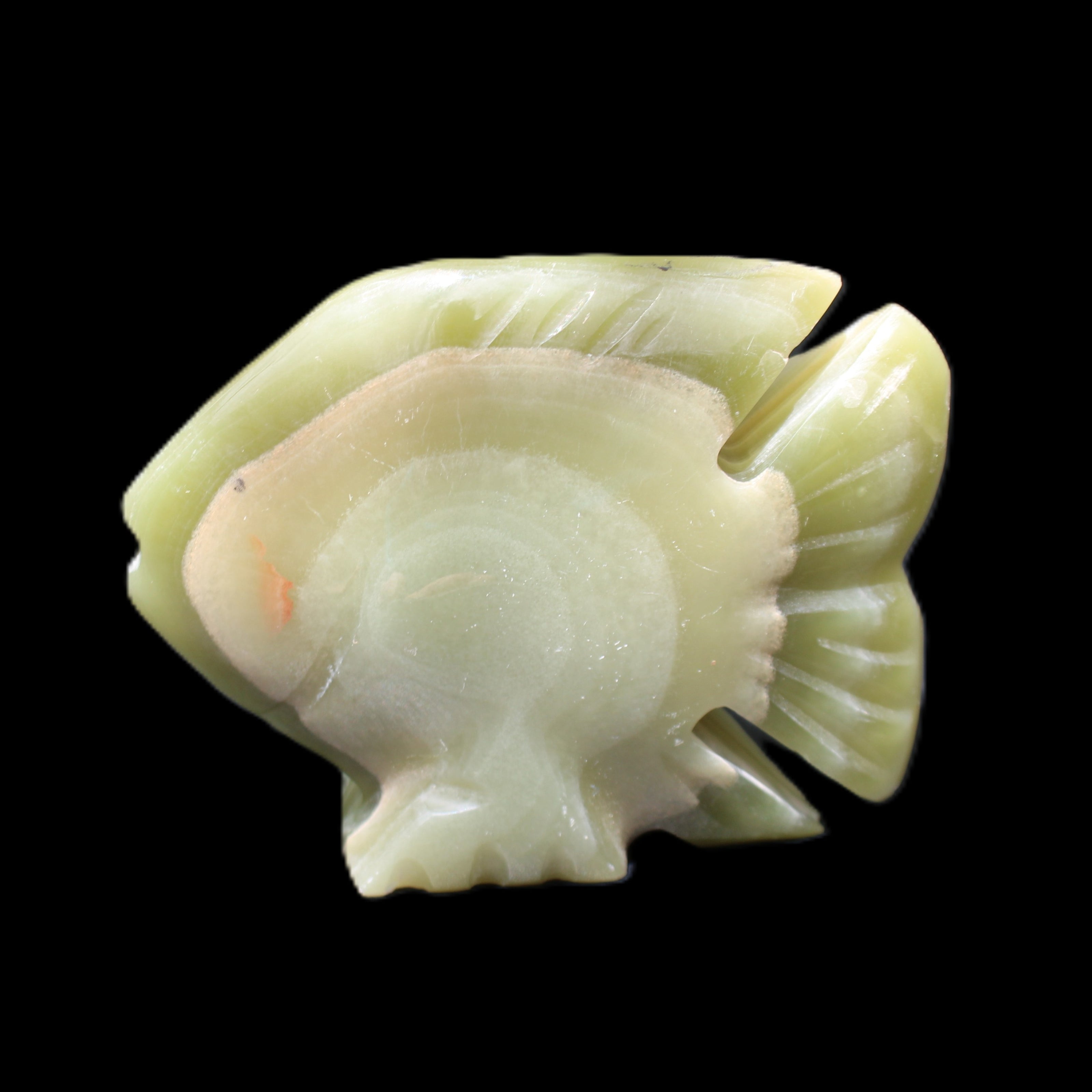 Afghan Jade fish hand-carved 75*59*25mm 166g in sunlight - Rocks and Things Store