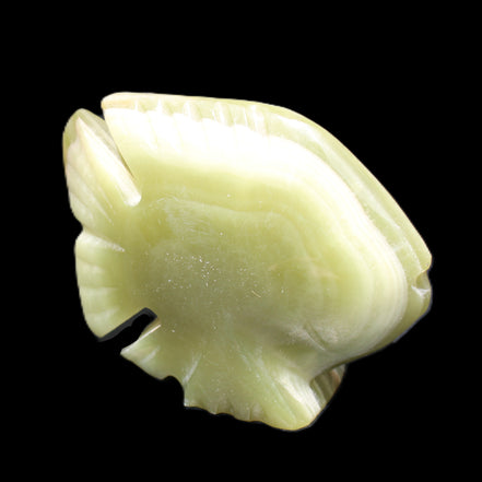 Afghan Jade fish hand-carved 75*59*25mm 166g in sunlight - Rocks and Things Store