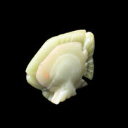 Afghan Jade fish hand-carved 75*59*25mm 166g in sunlight - Rocks and Things Store