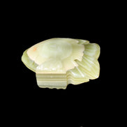 Afghan Jade fish hand-carved 75*59*25mm 166g in sunlight - Rocks and Things Store