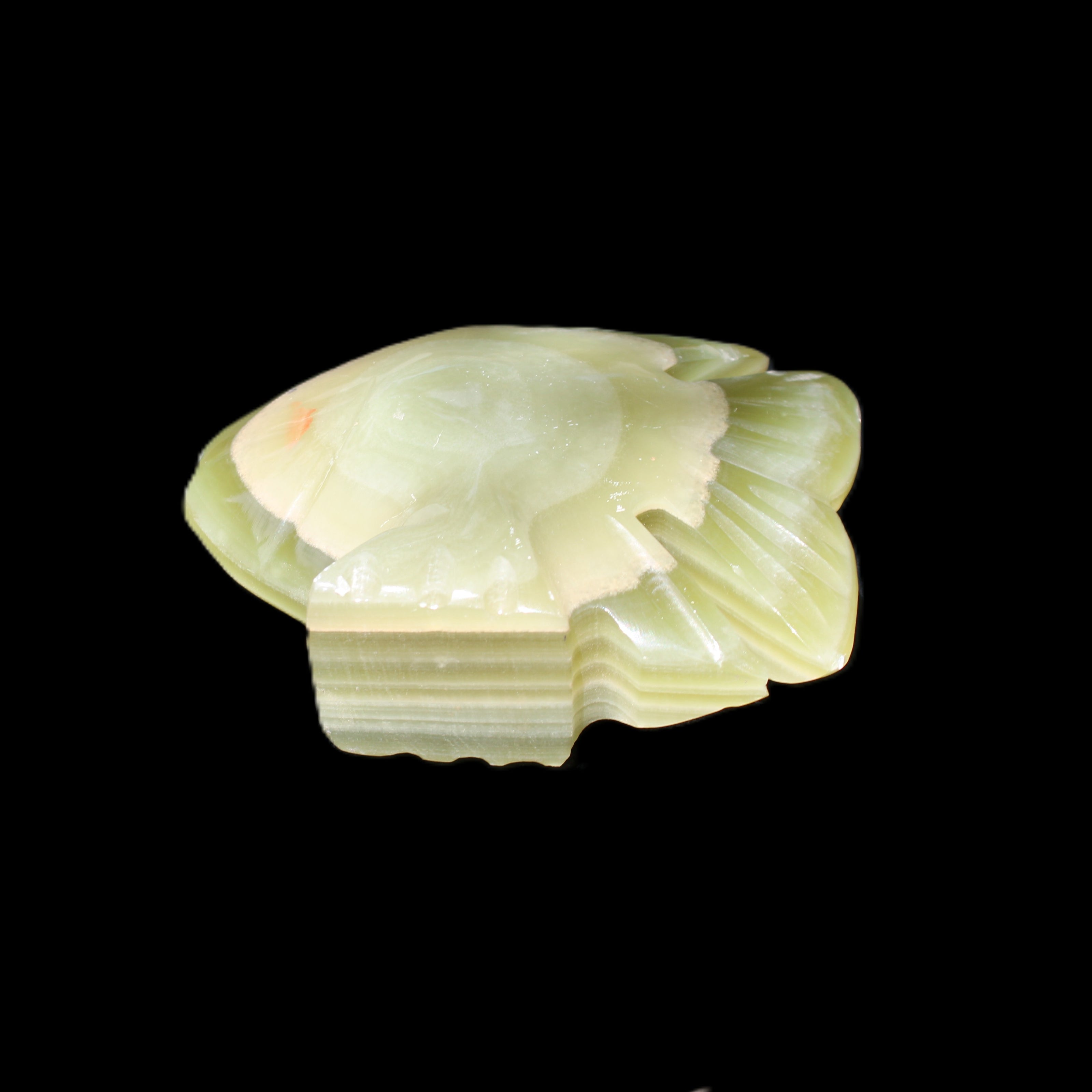 Afghan Jade fish hand-carved 75*59*25mm 166g in sunlight - Rocks and Things Store