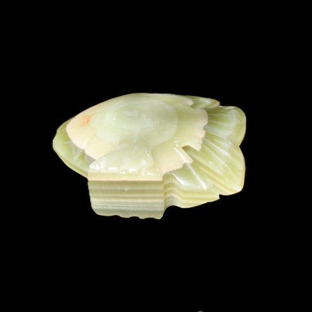 Afghan Jade fish hand-carved 75*59*25mm 166g in sunlight - Rocks and Things Store