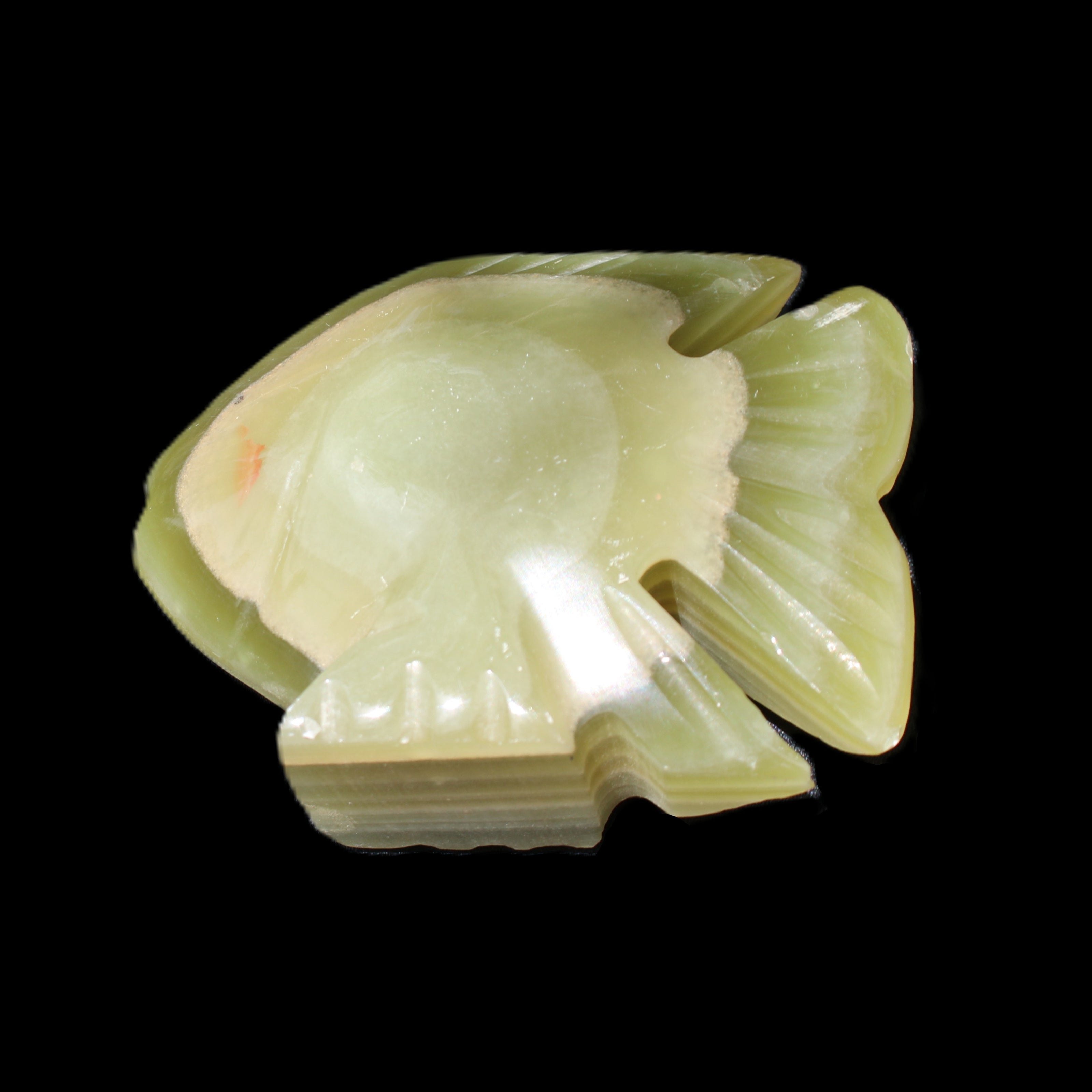 Afghan Jade fish hand-carved 75*59*25mm 166g in sunlight - Rocks and Things Store