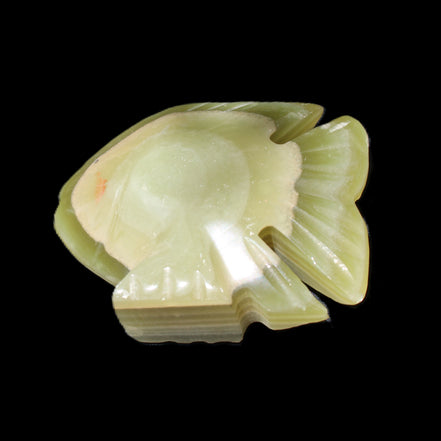 Afghan Jade fish hand-carved 75*59*25mm 166g in sunlight - Rocks and Things Store