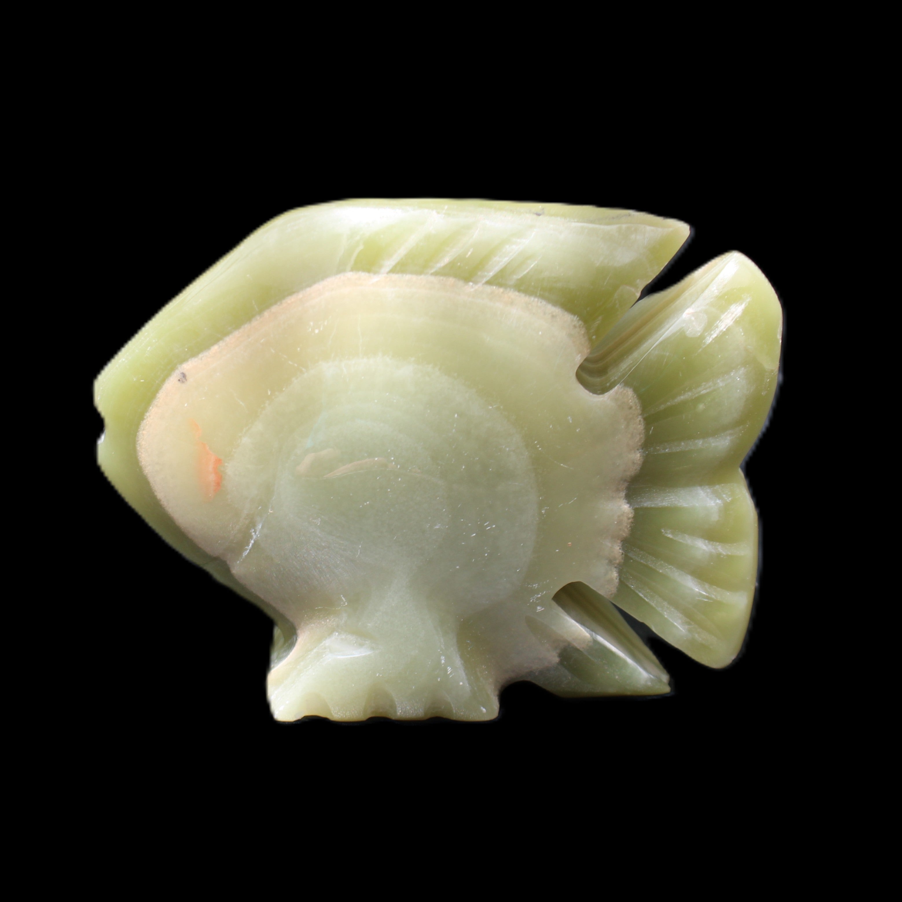 Afghan Jade fish hand-carved 75*59*25mm 166g in sunlight - Rocks and Things Store