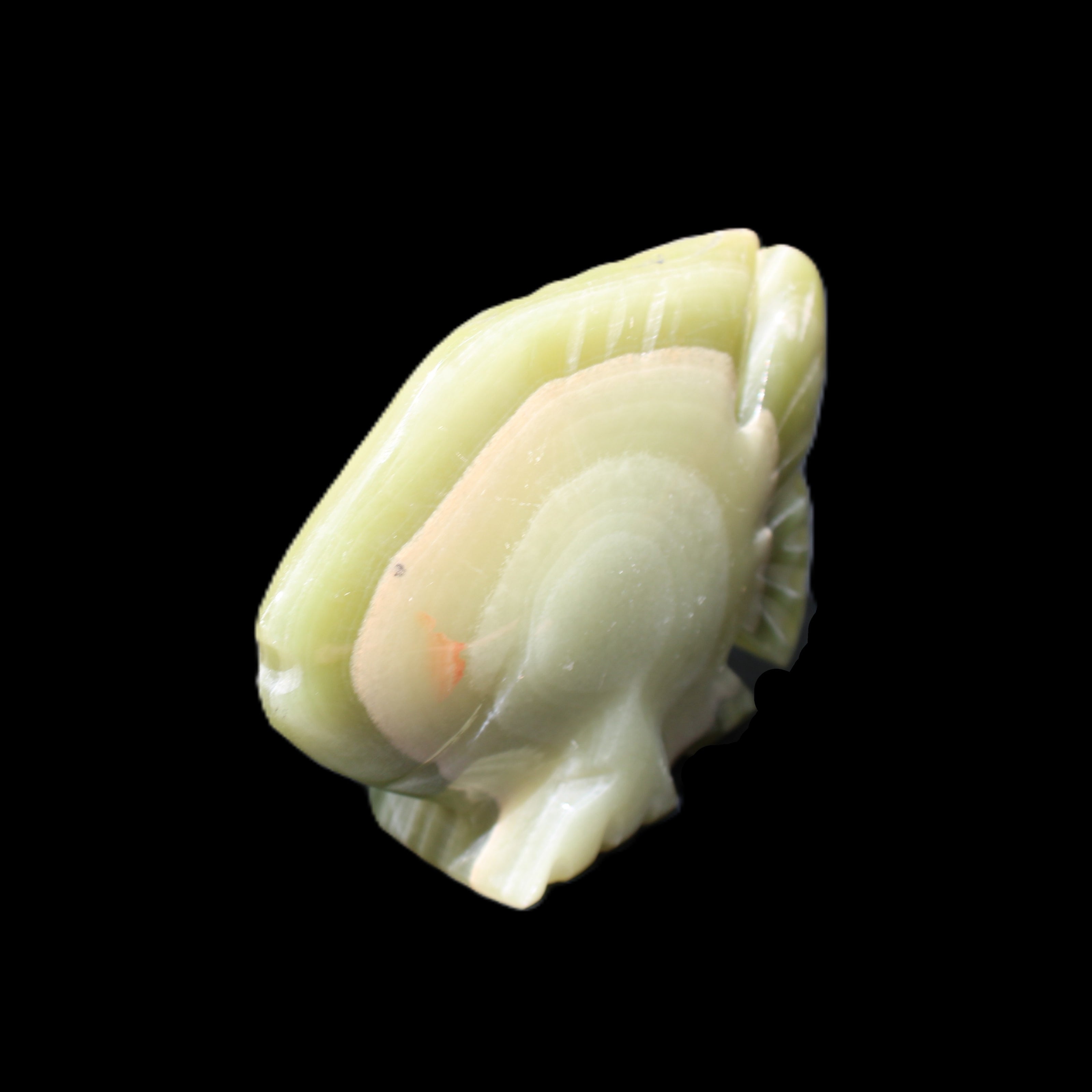 Afghan Jade fish hand-carved 75*59*25mm 166g in sunlight - Rocks and Things Store