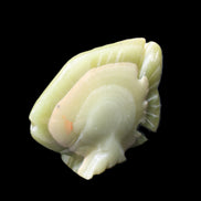 Afghan Jade fish hand-carved 75*59*25mm 166g in sunlight - Rocks and Things Store