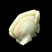 Afghan Jade fish hand-carved 75*59*25mm 166g in sunlight - Rocks and Things Store