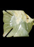 Afghan Jade fish hand-carved 84*63*16mm 154g in sunlight - Rocks and Things Store