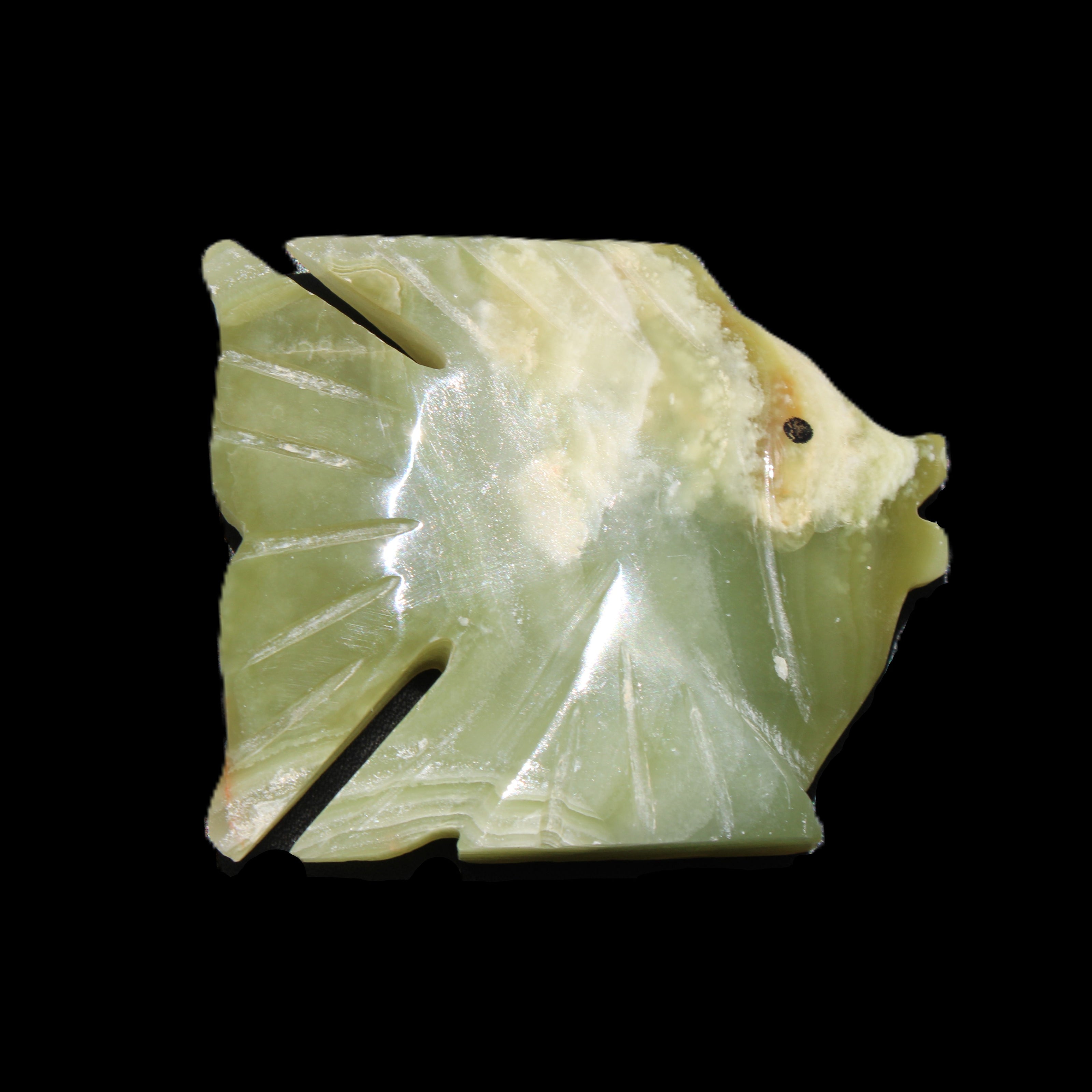 Afghan Jade fish hand-carved 84*63*16mm 154g in sunlight - Rocks and Things Store