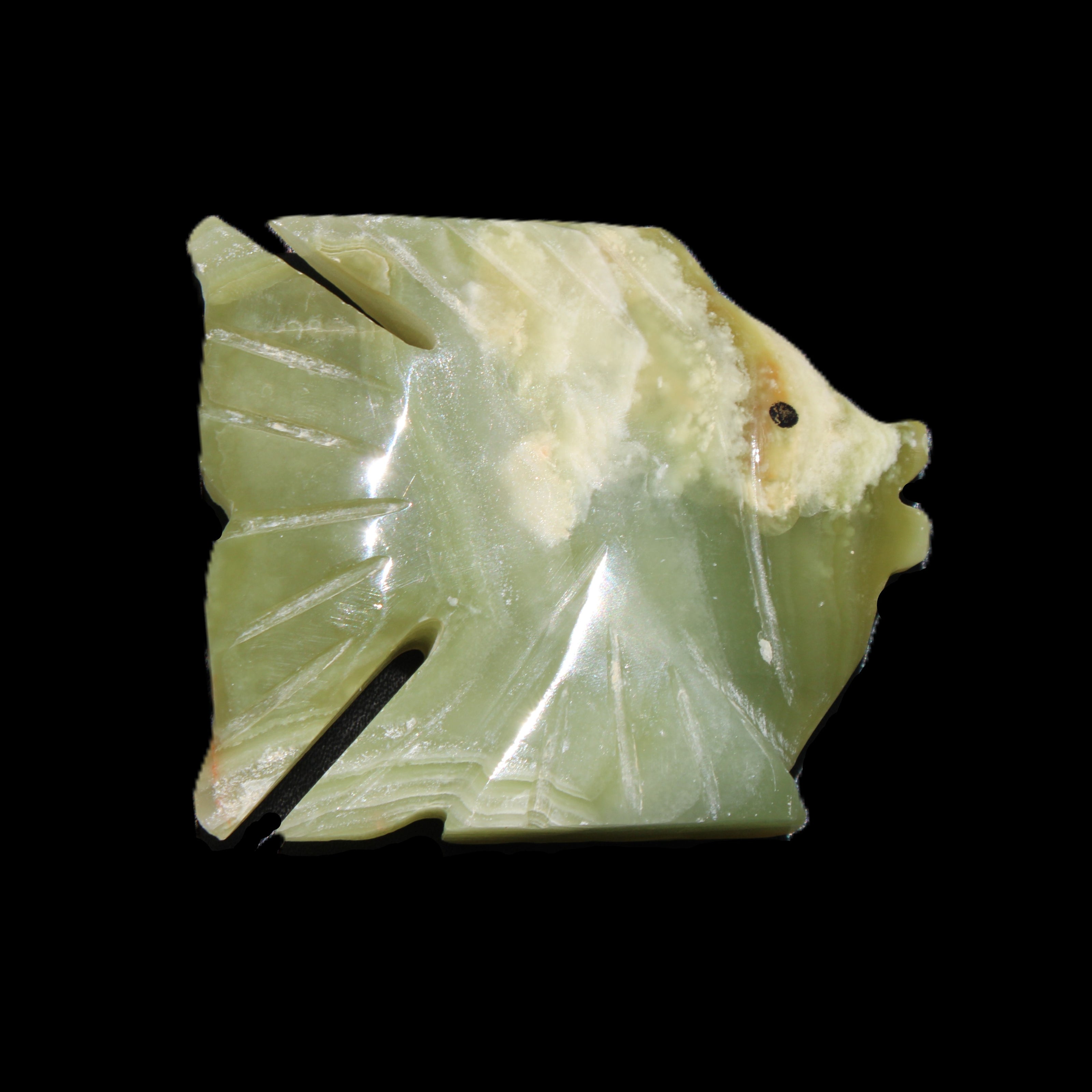 Afghan Jade fish hand-carved 84*63*16mm 154g in sunlight - Rocks and Things Store