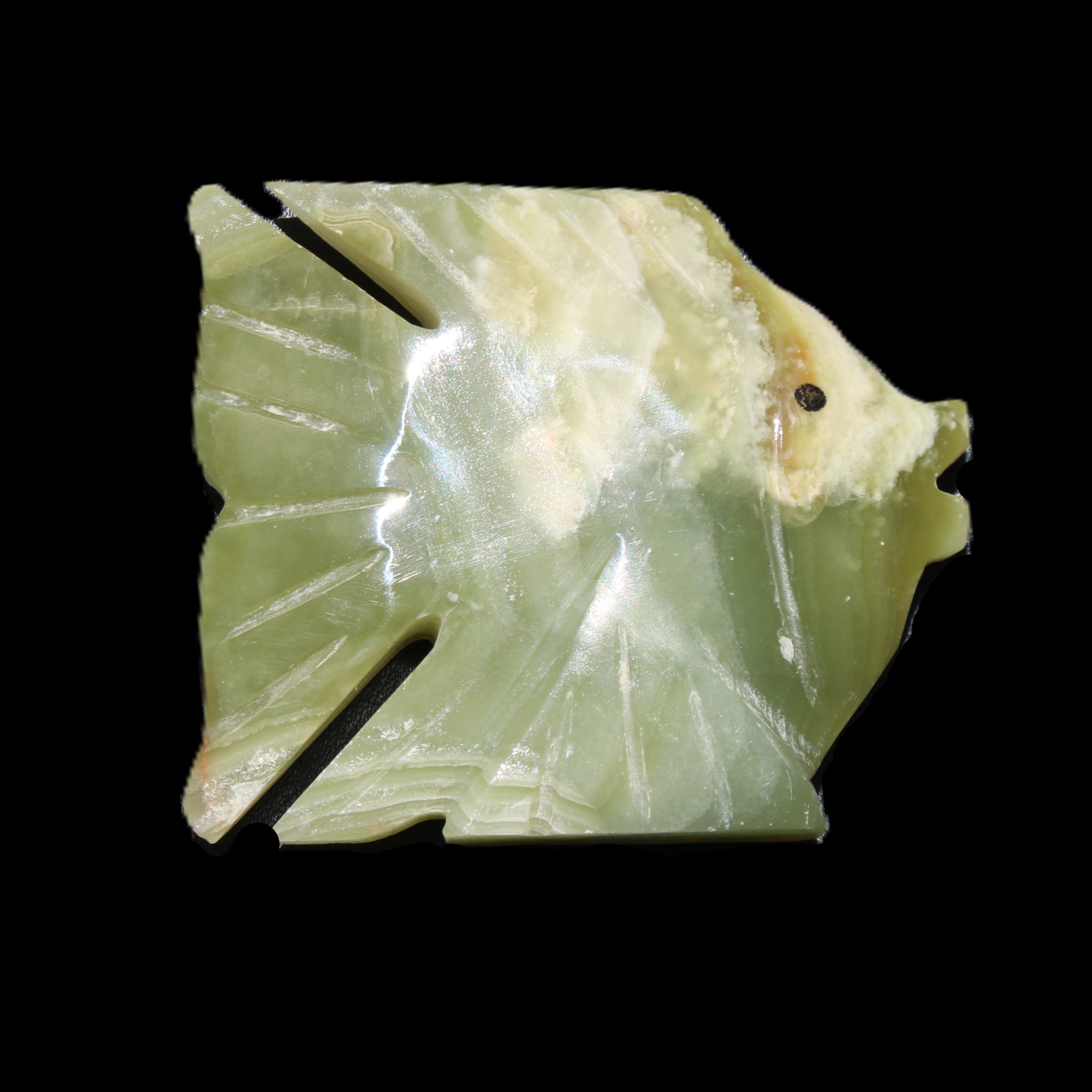 Afghan Jade fish hand-carved 84*63*16mm 154g in sunlight - Rocks and Things Store