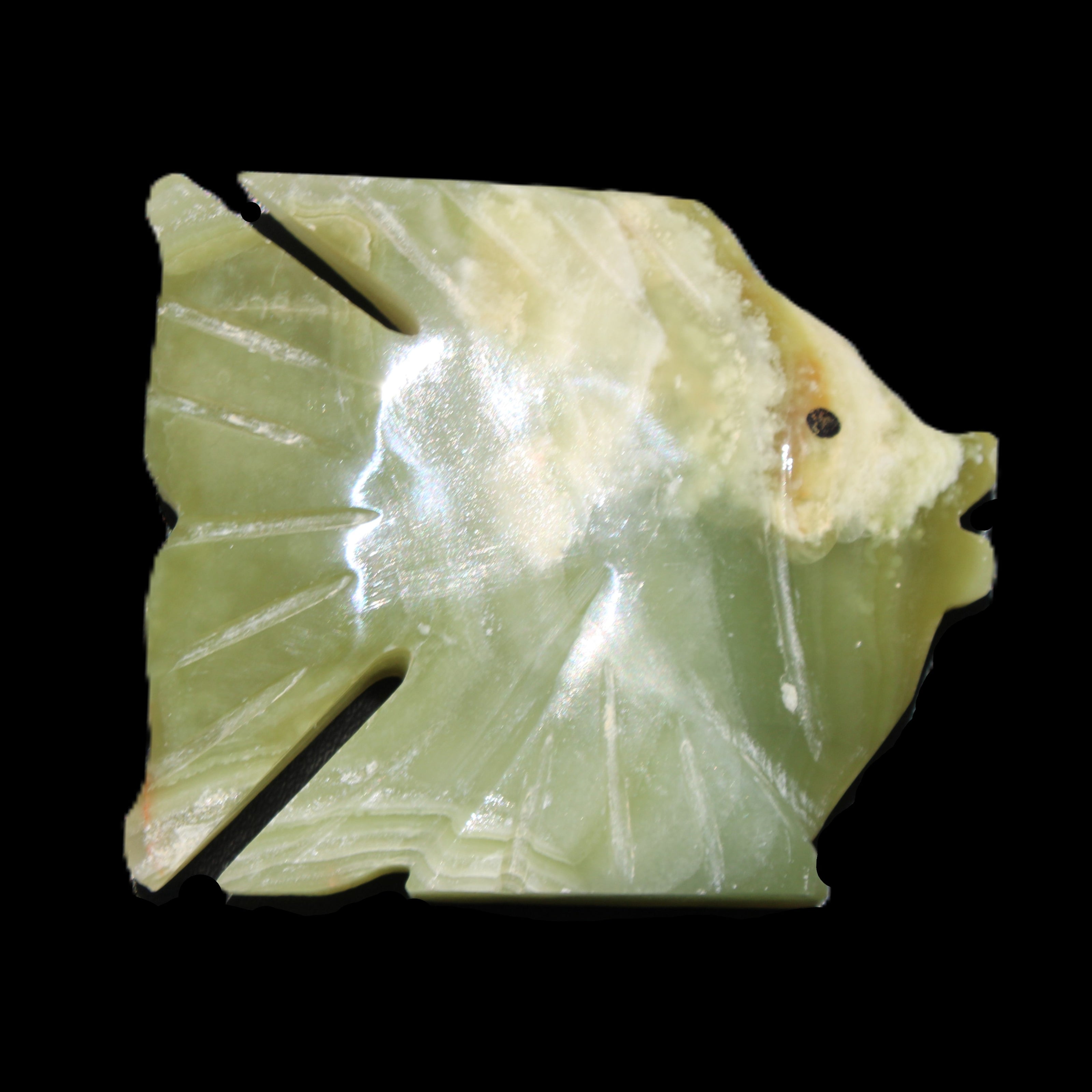 Afghan Jade fish hand-carved 84*63*16mm 154g in sunlight - Rocks and Things Store