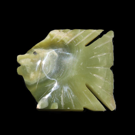 Afghan Jade fish hand-carved 84*63*16mm 154g in sunlight - Rocks and Things Store