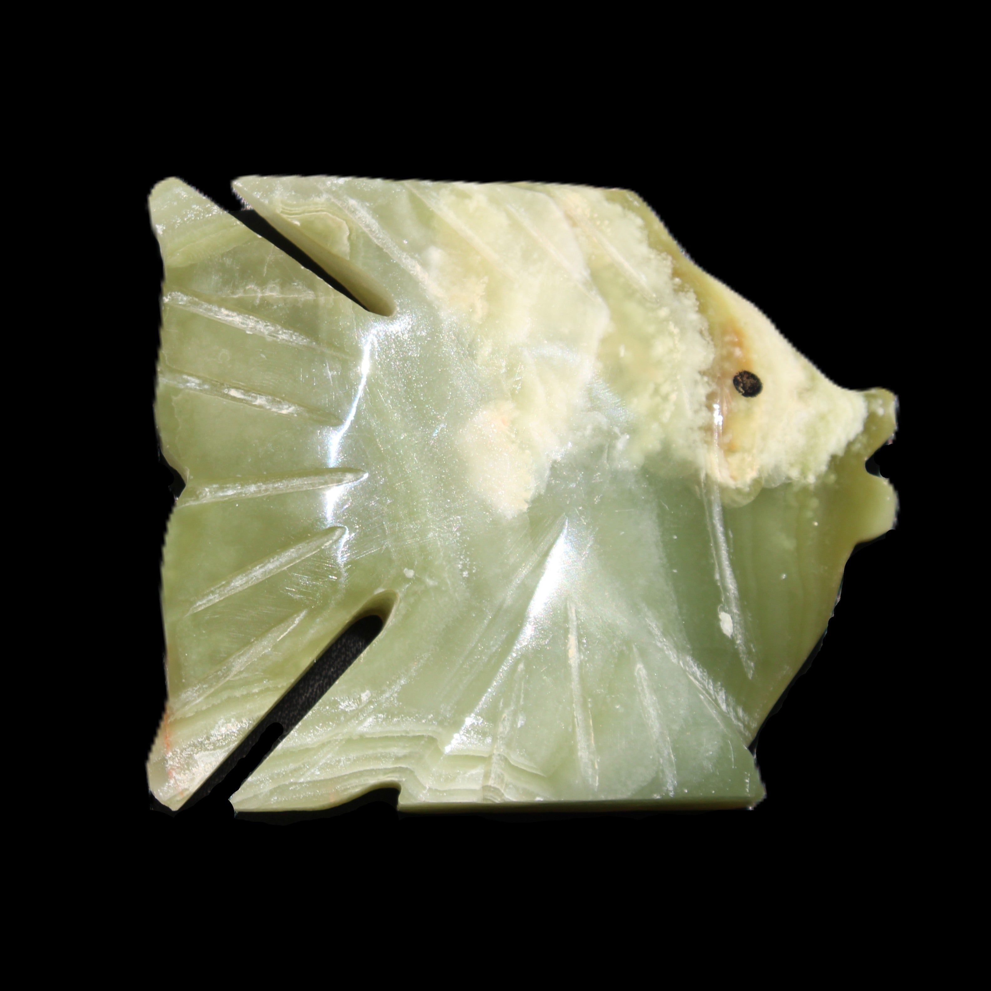 Afghan Jade fish hand-carved 84*63*16mm 154g in sunlight - Rocks and Things Store