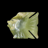 Afghan Jade fish hand-carved 84*63*16mm 154g in sunlight - Rocks and Things Store