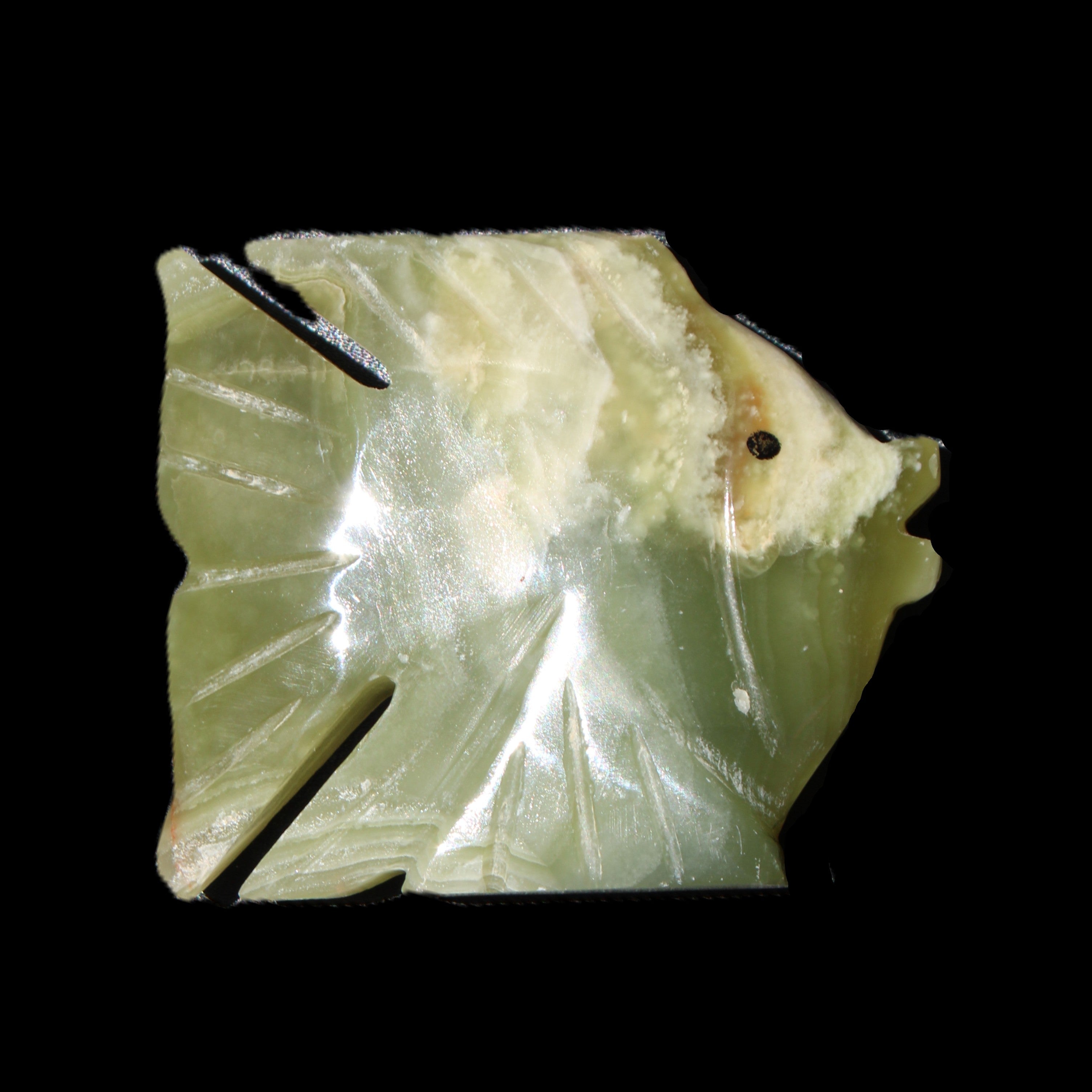 Afghan Jade fish hand-carved 84*63*16mm 154g in sunlight - Rocks and Things Store