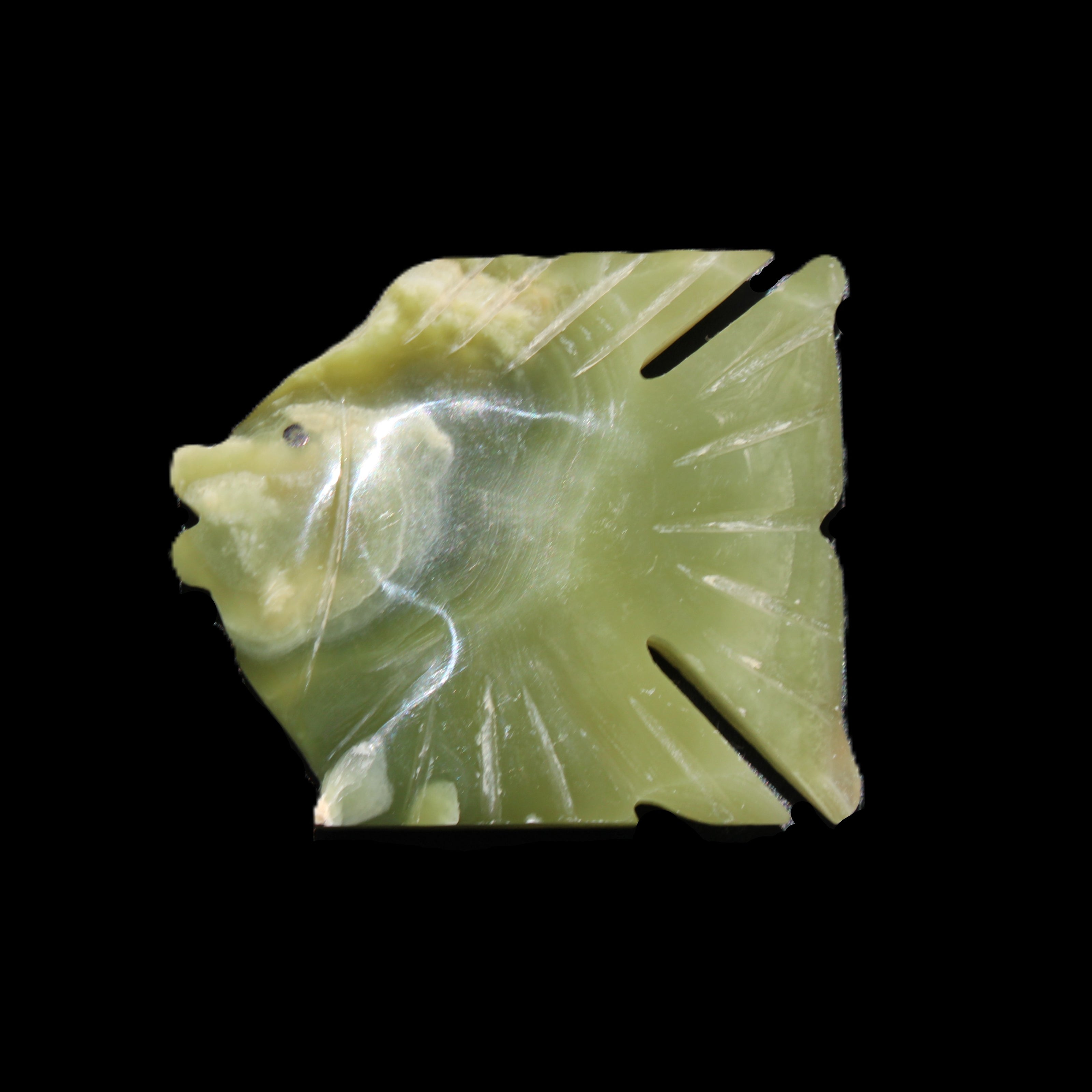 Afghan Jade fish hand-carved 84*63*16mm 154g in sunlight - Rocks and Things Store