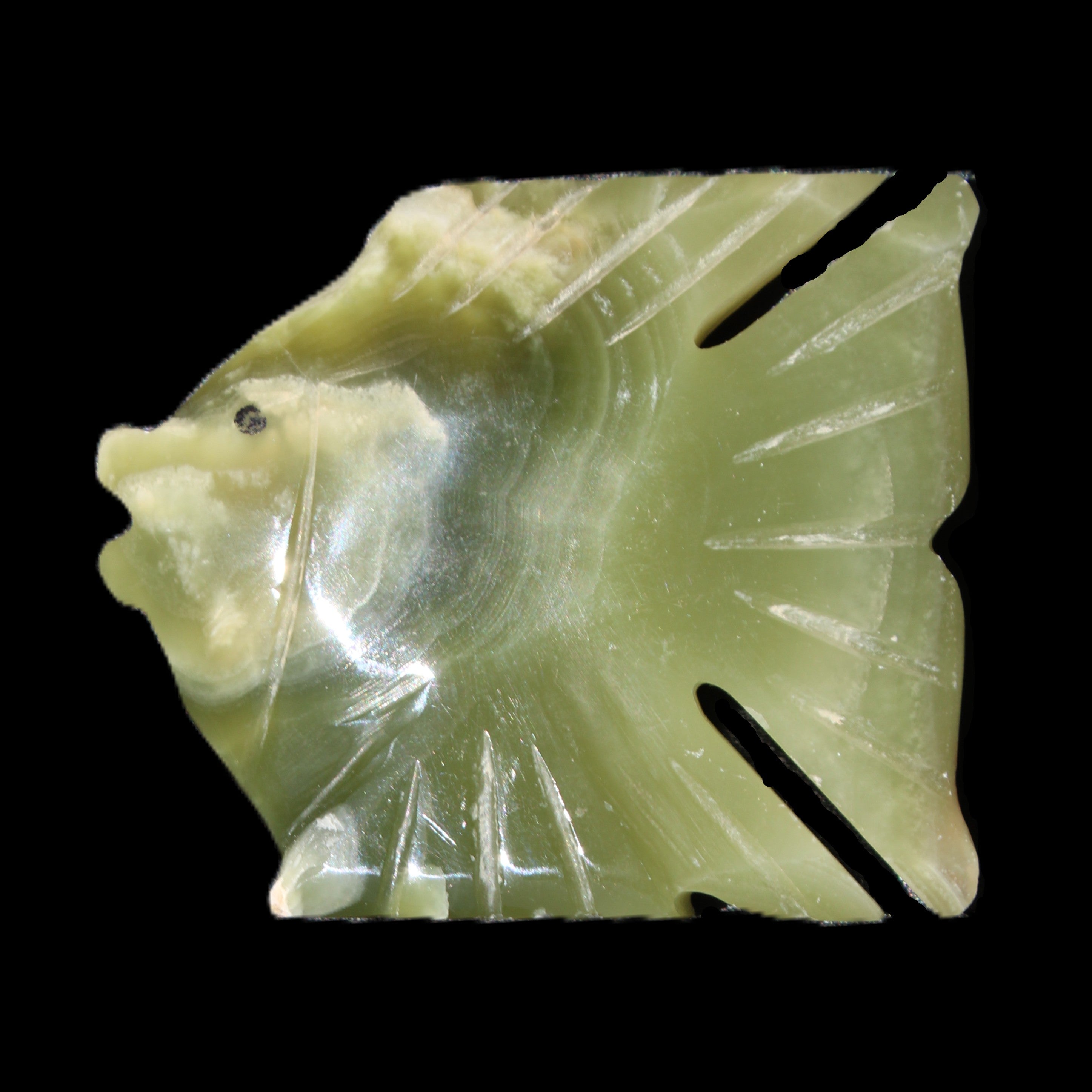 Afghan Jade fish hand-carved 84*63*16mm 154g in sunlight - Rocks and Things Store