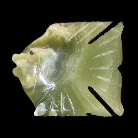 Afghan Jade fish hand-carved 84*63*16mm 154g in sunlight - Rocks and Things Store
