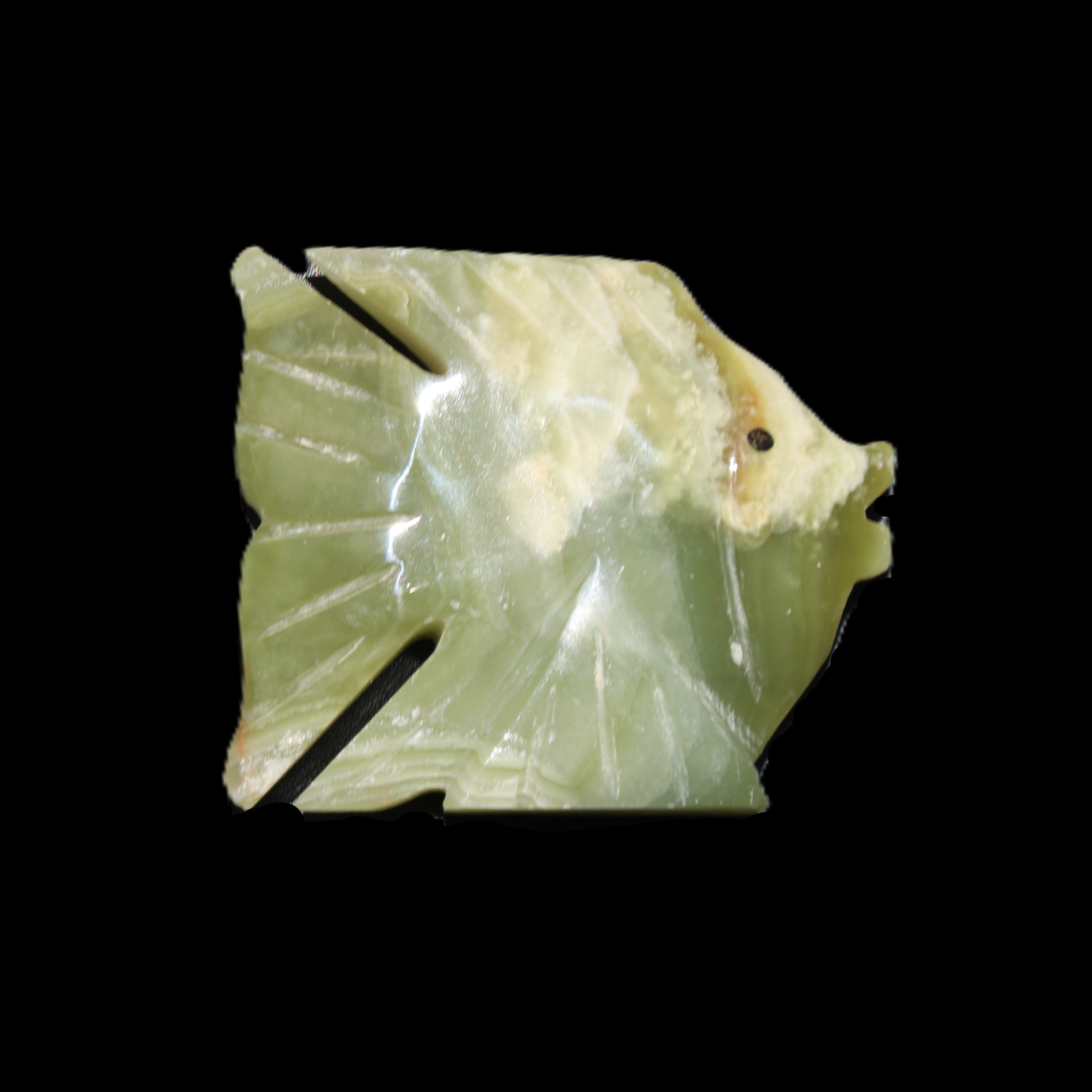 Afghan Jade fish hand-carved 84*63*16mm 154g in sunlight - Rocks and Things Store