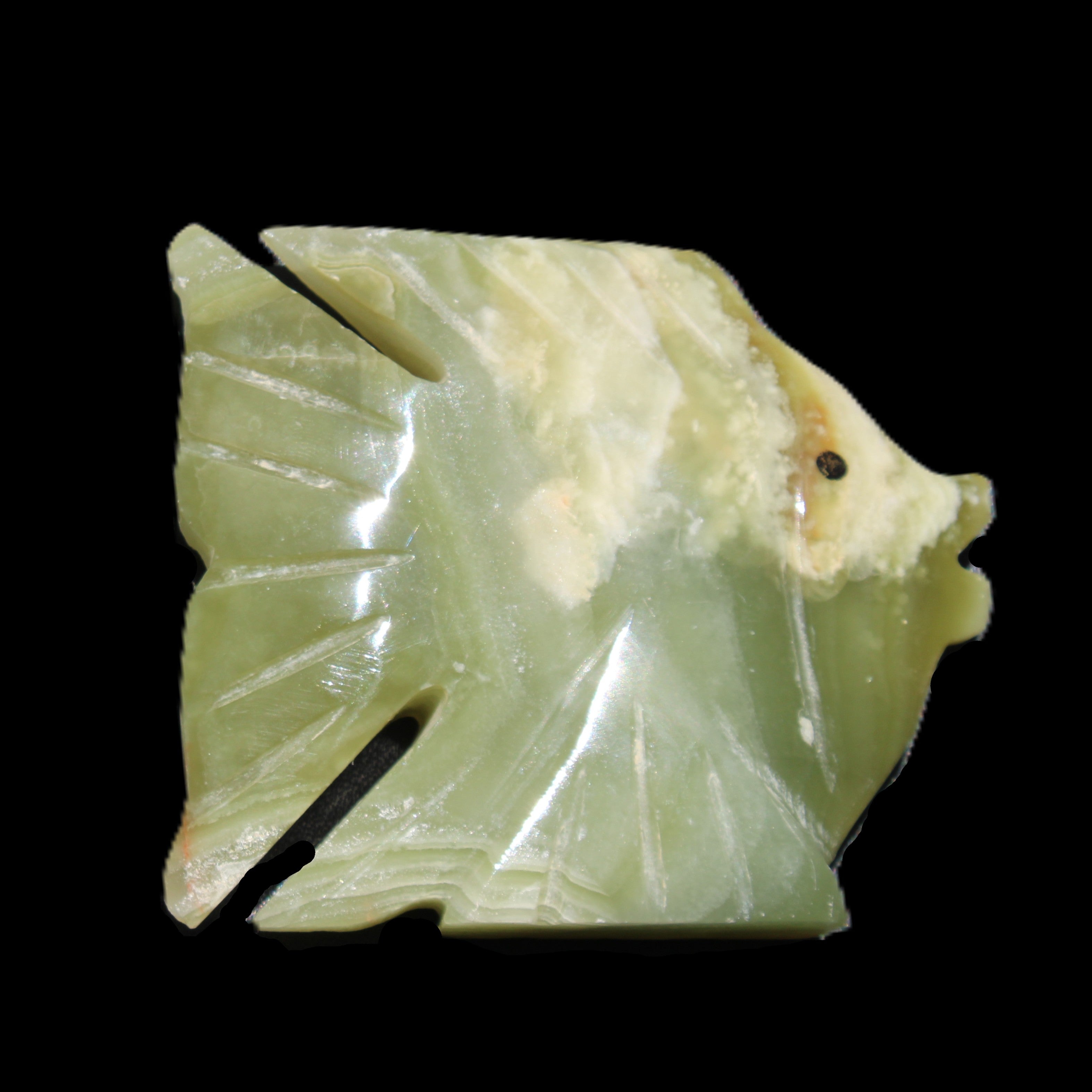 Afghan Jade fish hand-carved 84*63*16mm 154g in sunlight - Rocks and Things Store