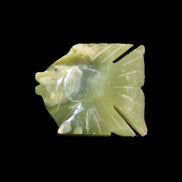 Afghan Jade fish hand-carved 84*63*16mm 154g in sunlight - Rocks and Things Store