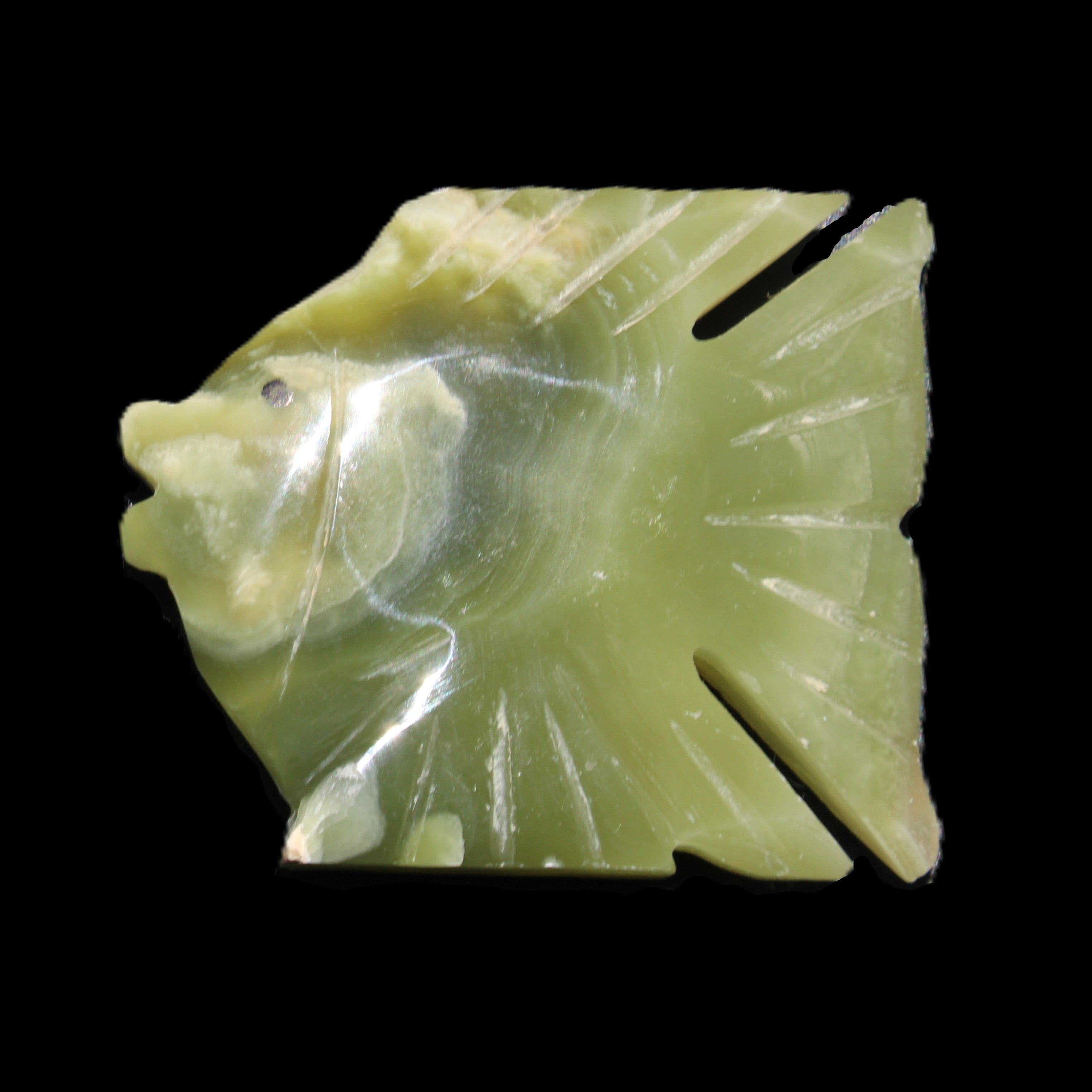 Afghan Jade fish hand-carved 84*63*16mm 154g in sunlight - Rocks and Things Store
