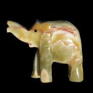 Afghan Jade elephant hand-carved 80*66*30mm 207g in sunlight - Rocks and Things Store