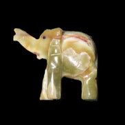 Afghan Jade elephant hand-carved 80*66*30mm 207g in sunlight - Rocks and Things Store